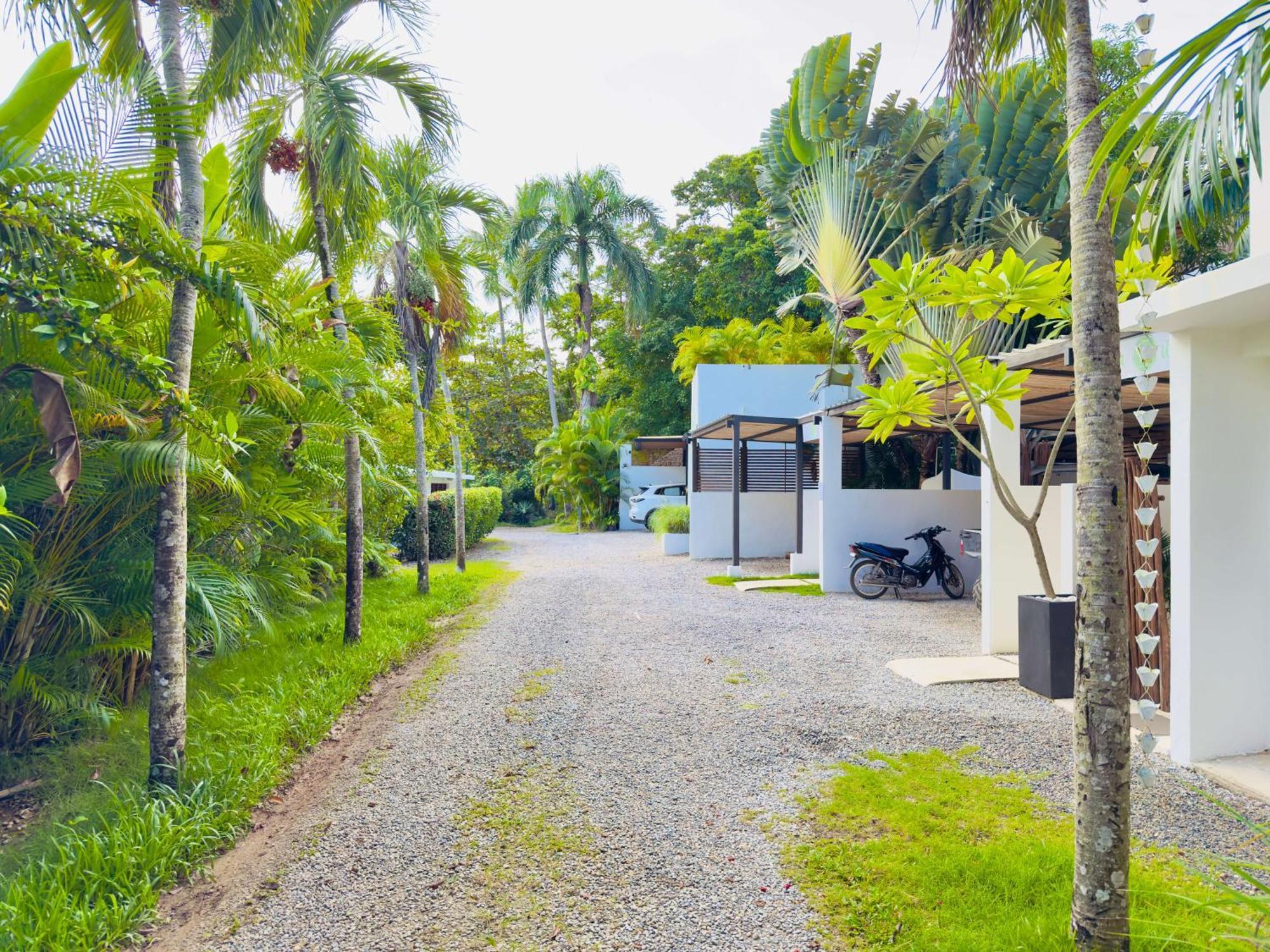 Soul Dream Bonita Apartment Las Terrenas Ngoại thất bức ảnh