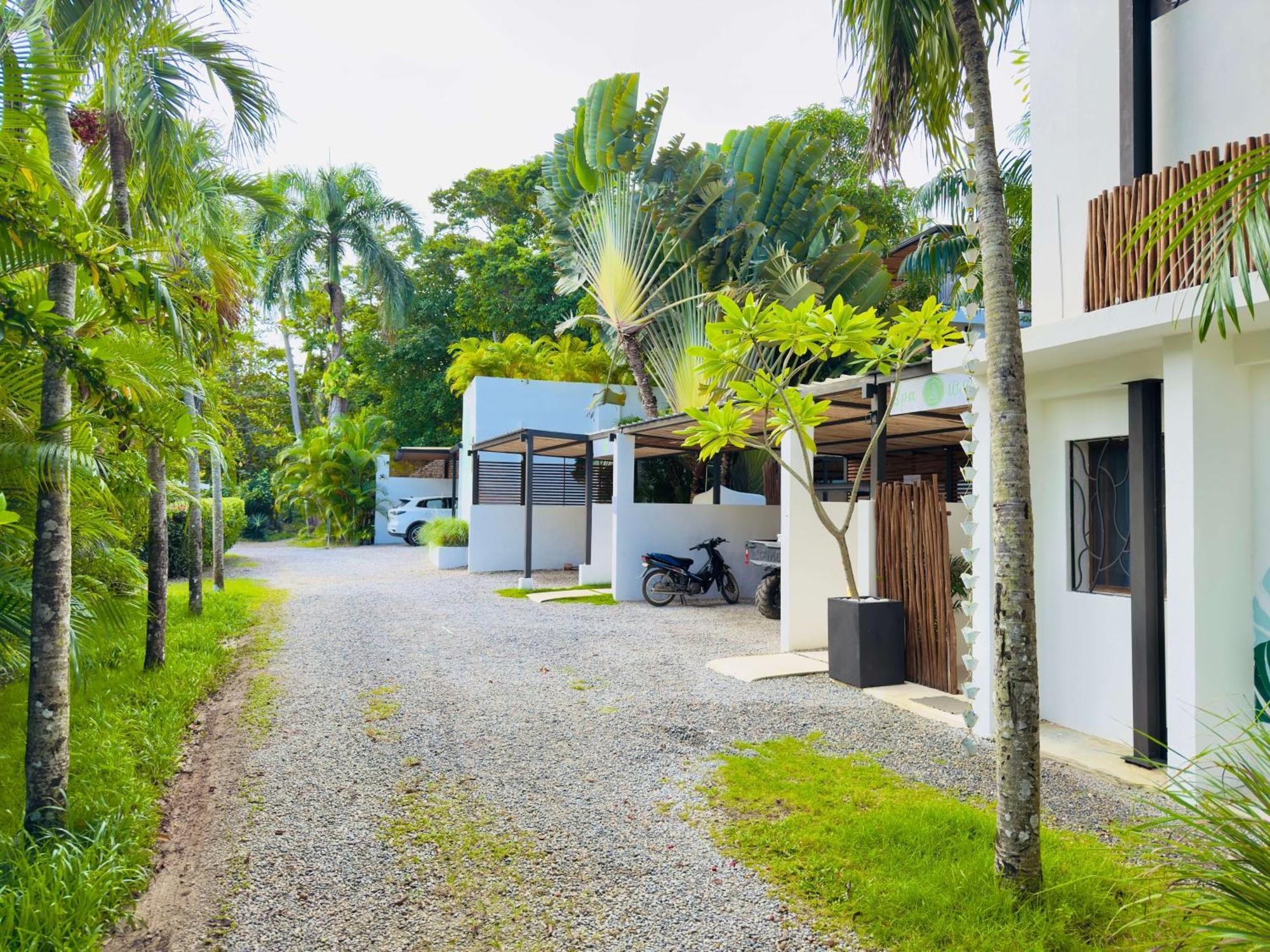 Soul Dream Bonita Apartment Las Terrenas Ngoại thất bức ảnh